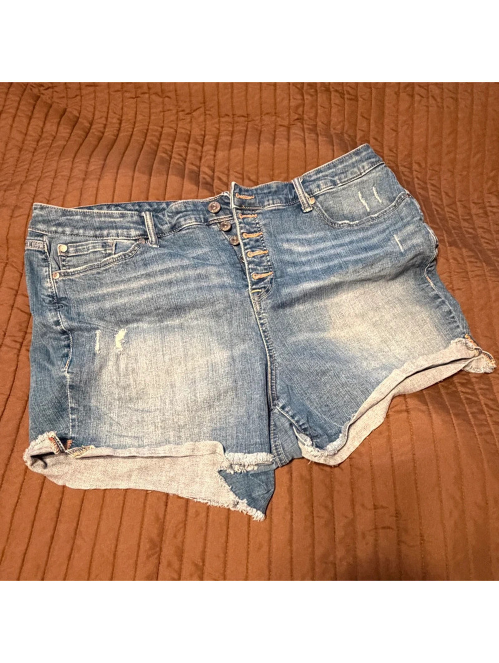 Torrid Short Shorts